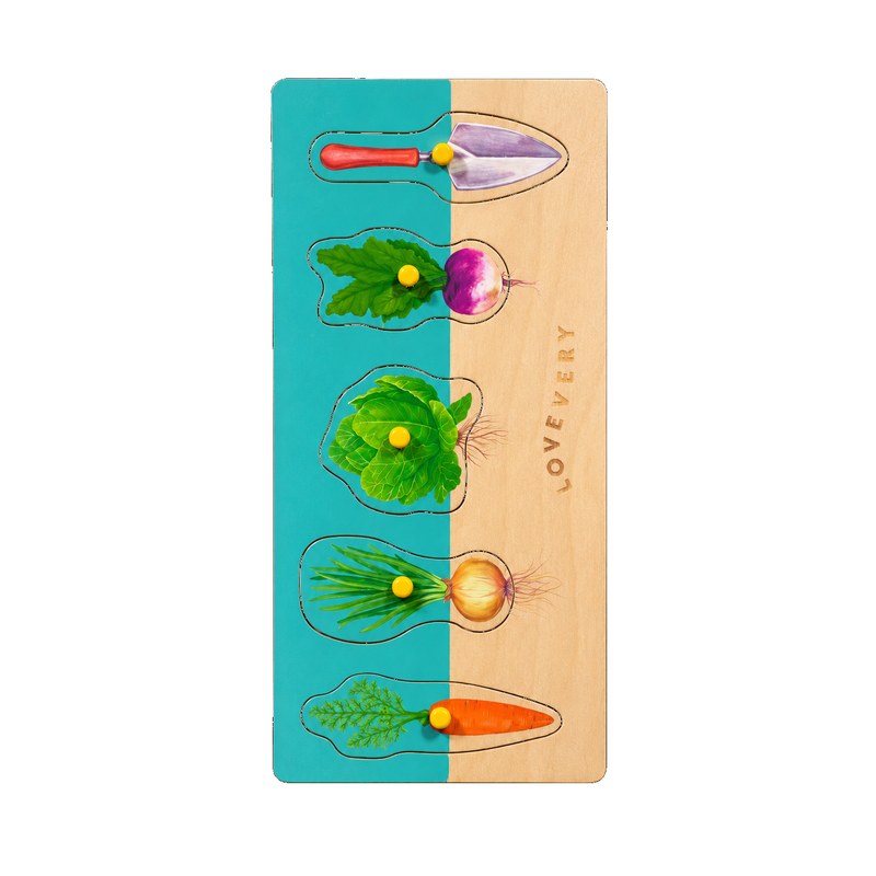 Montessori Toy Play Kit