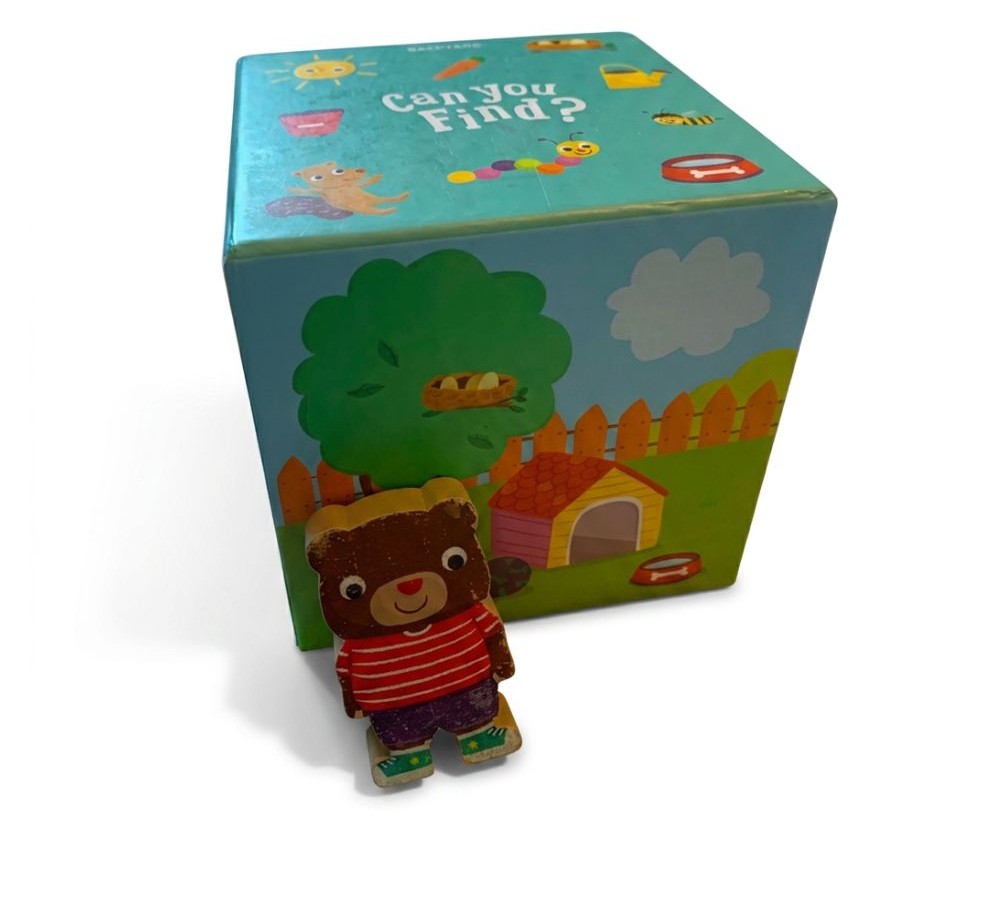 "Can You Find?" Search & Find Cube with Bear Figure